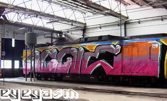 acne-wc001.jpg
