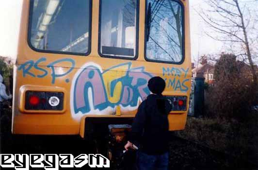 acor01.jpg