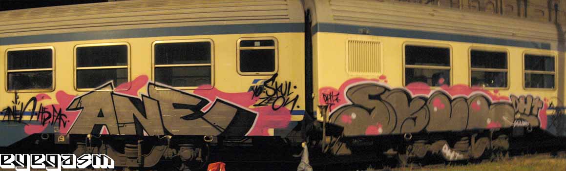 ane-skul01.jpg