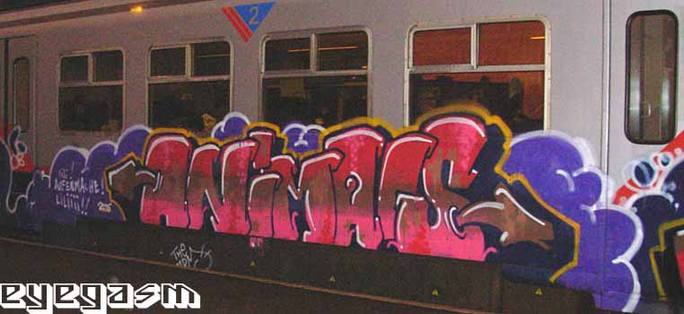 animals08.jpg