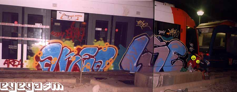 area-lse01.jpg