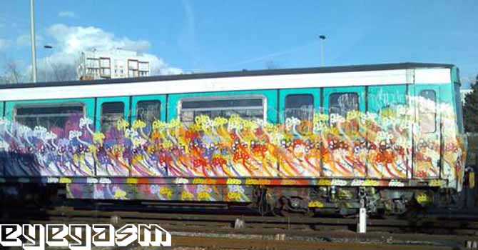 azile001.jpg
