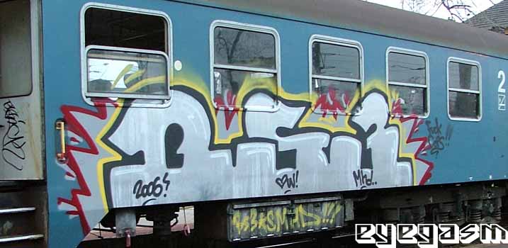 bs313.jpg