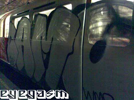 camo01.jpg