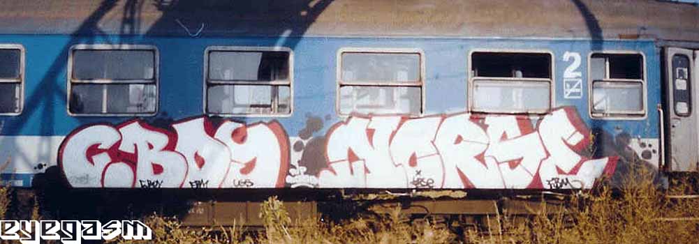 cboy-norse01.jpg