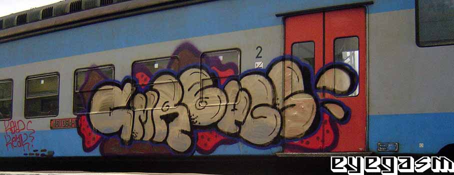 cmrbugs01.jpg