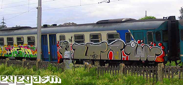 digyt-zto01.jpg