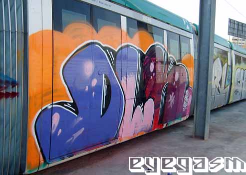 dlk02.jpg