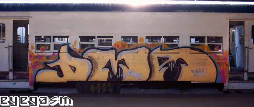 dma0007.jpg