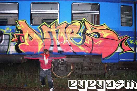 dmes01.jpg