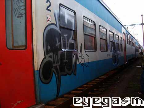 fd01.jpg
