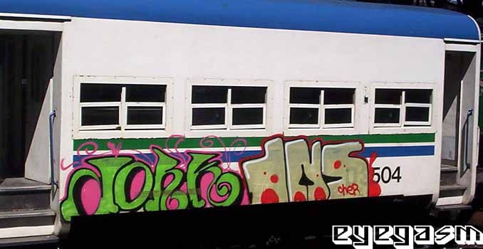 jork-dns01.jpg