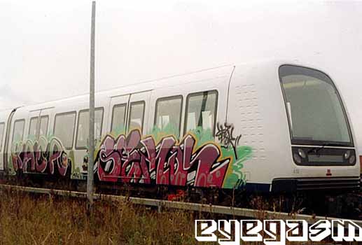 kaer-seyk01.jpg