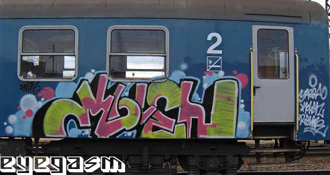 kolen01.jpg