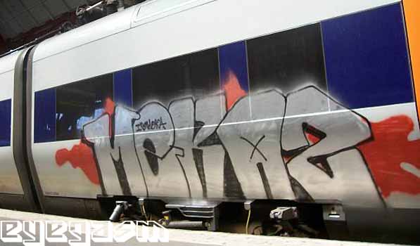 mekaz01.jpg