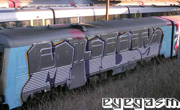 mhds-wc02.jpg