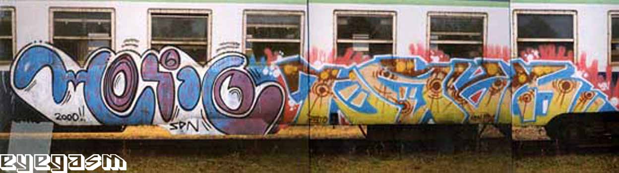 moino-pato02.jpg
