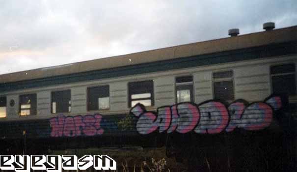 mops-andr01.jpg