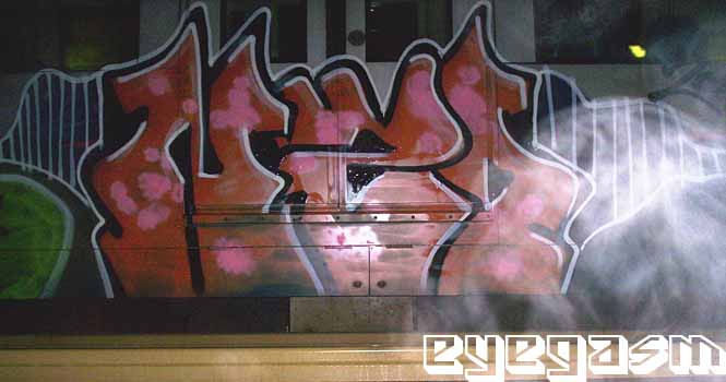 nzo07.jpg
