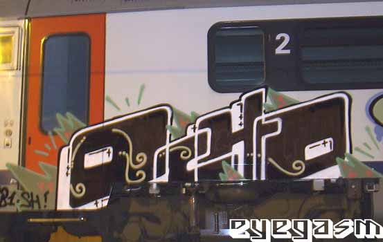 ocho008.jpg