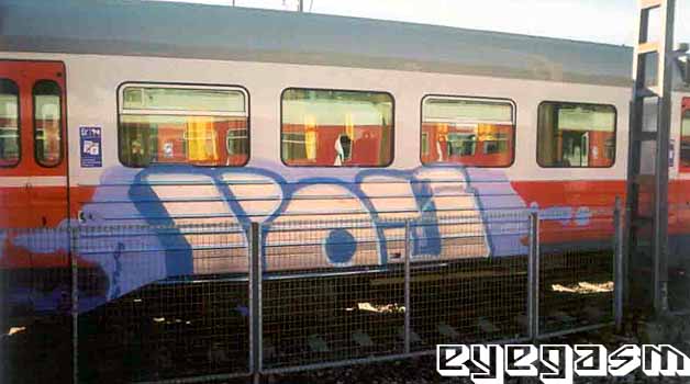 poy01.jpg