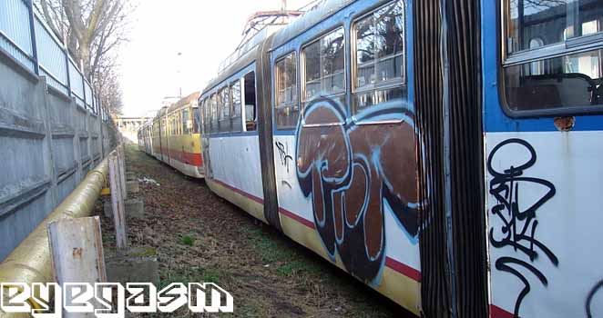 prt01.jpg