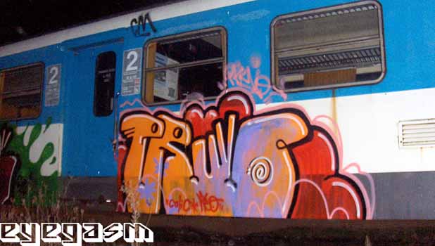 pruvo01.jpg