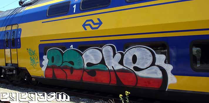 raske05.jpg