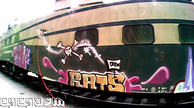 rats001.jpg