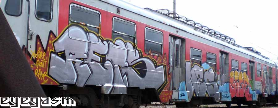 rets-nes-sige01.jpg