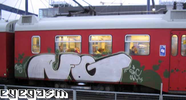 rfg01.jpg