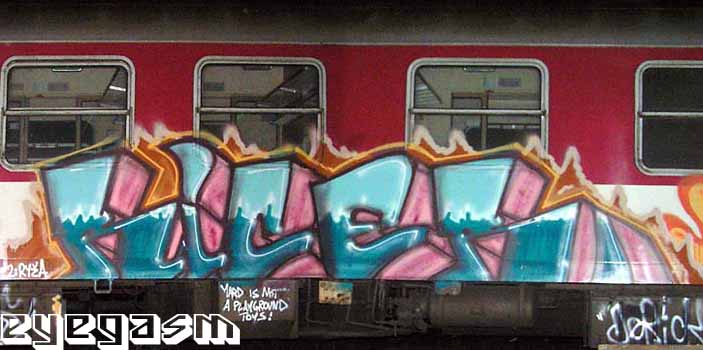 ricer01.jpg