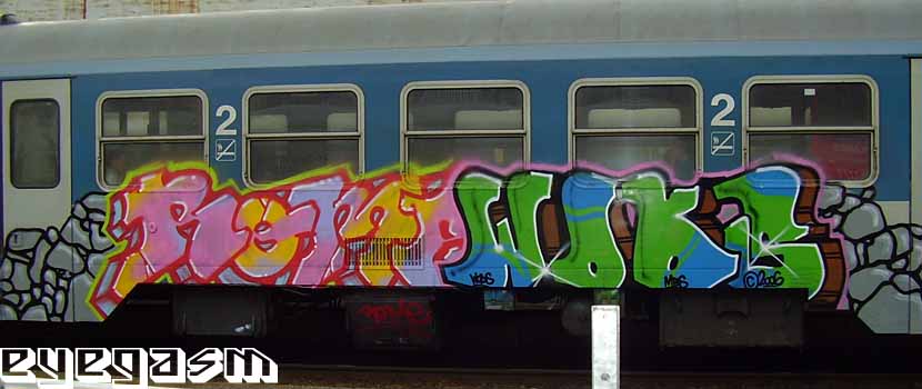 roma-wods01.jpg