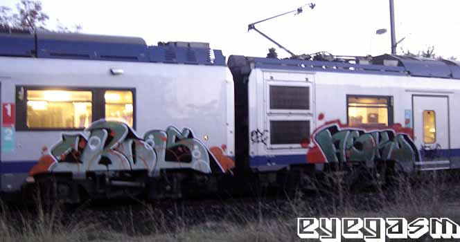 ros-asko01.jpg
