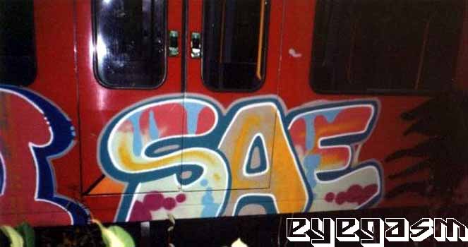 sae4.jpg