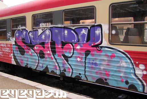 safk01.jpg