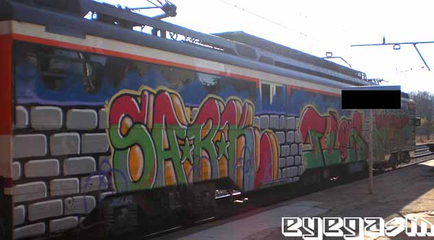 sark-flor-zoft01.jpg