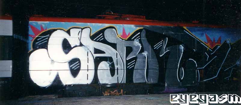 sark-wc02.jpg