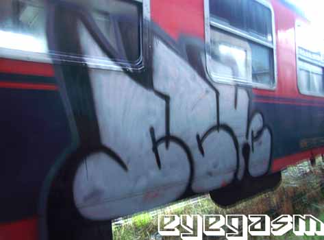 sck01.jpg