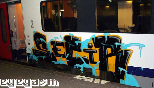secir01.jpg