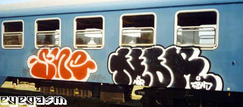 sne-nor01.jpg