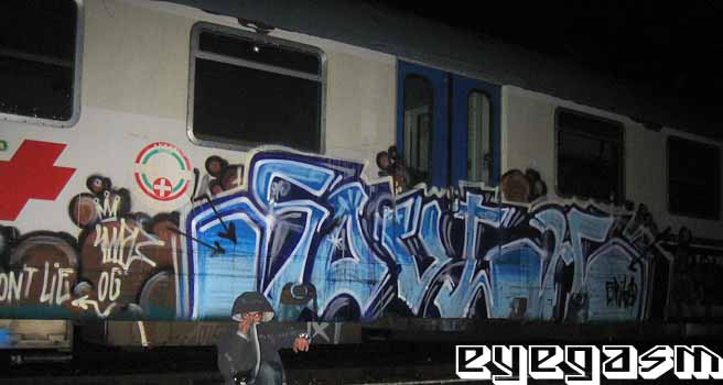 south04.jpg