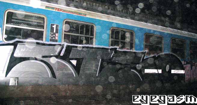 steo02.jpg