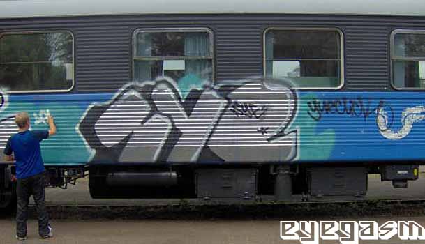 sye01.jpg