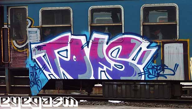 tdfs01.jpg