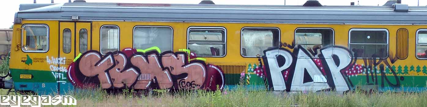 tems-pop01.jpg