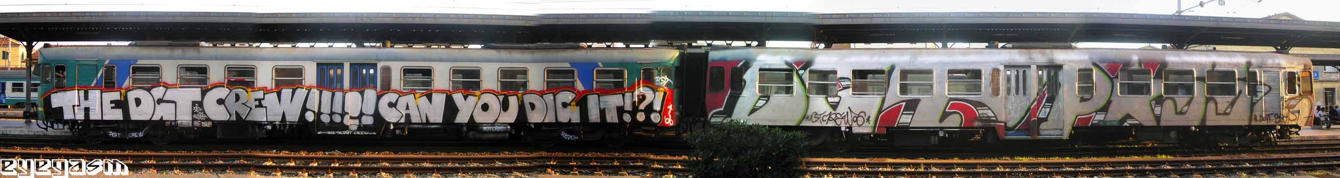 the-dgt-crew-can-you-dig-it-dgtposse-wc01.jpg