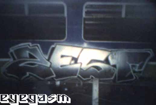 zest01.jpg