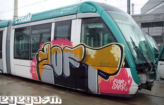 zoft02.jpg