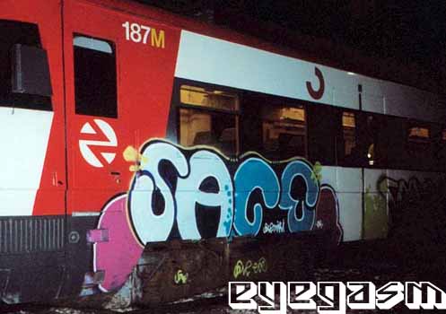 sace06.jpg